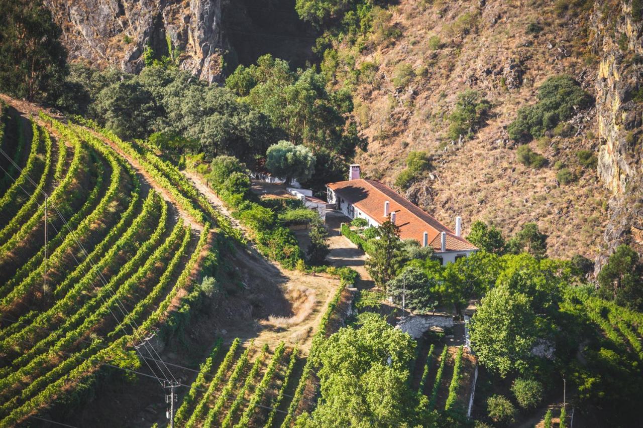 Gasthaus Quinta Do Valdalagea Peso da Régua Exterior foto