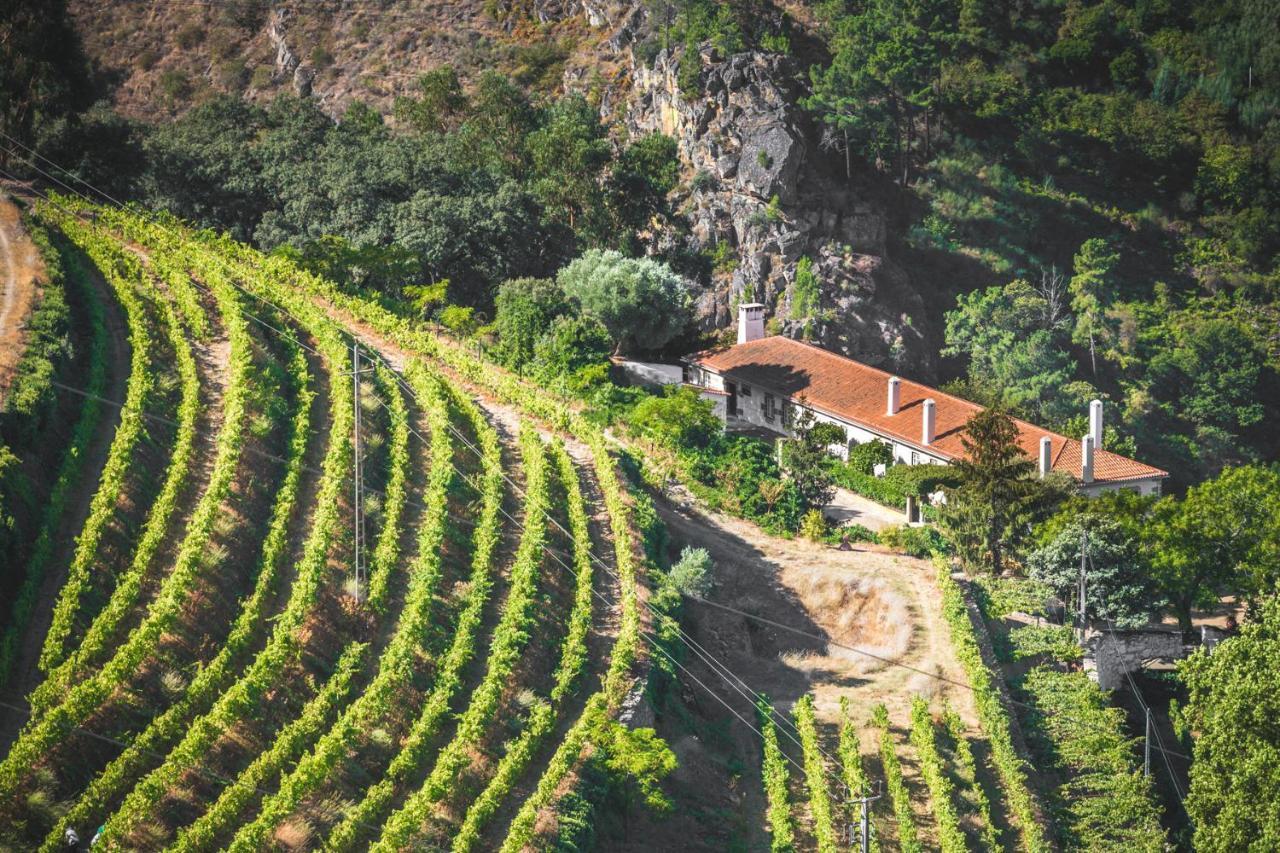 Gasthaus Quinta Do Valdalagea Peso da Régua Exterior foto